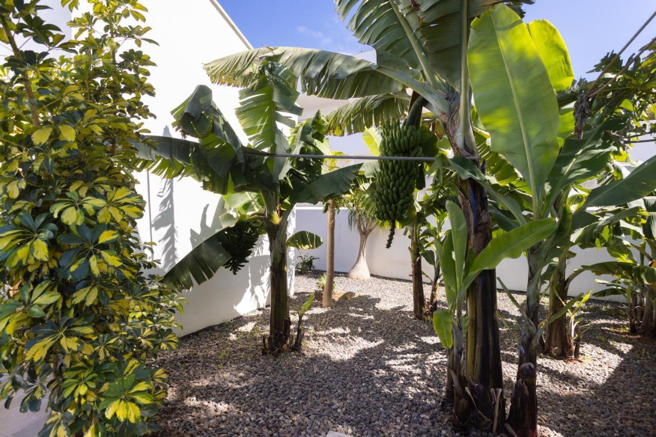 Home2Book Amazing Santa Ursula, Sea Views & Terrace Exterior foto